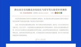 唐山热门爆料新闻最新,揭秘某重大事件背后真相